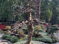 -成都武侯祠博物馆