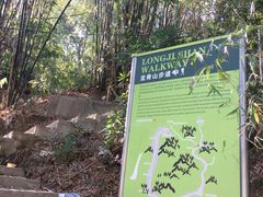 -伴山茶苑·一盏冰茶·半日山居