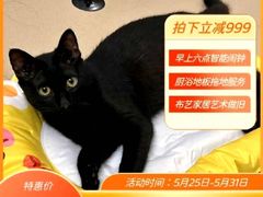 -饭团匠·料理小食堂(玉林店)