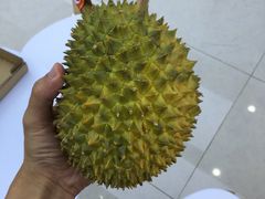 -上海龙吴水胜海发市场