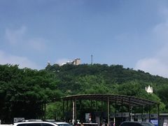 -上海佘山国家森林公园东门地面停车场