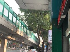 -瑞派动物医院·猫专科·至诚(江南中分院)