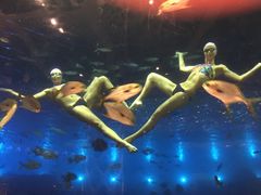 -瑞德姆美人鱼海底演艺主题餐厅(亚龙湾店)