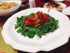-碧丽宫大酒店(召稼楼店)