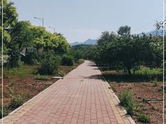 -白水寺森林公园