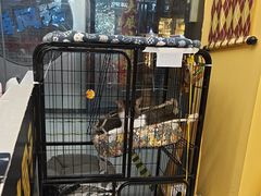 -谜盒子奇幻密室(南屏店)