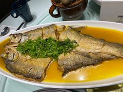 -三强鸽子(中原路店)