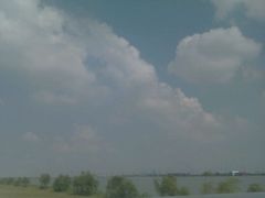 -漕湖湿地公园
