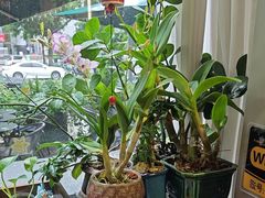 -街角 T·COFFEE 融合料理·BISTRO(车公庙店)