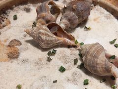 -高佳庄·舟山海鲜(海景旗舰店)