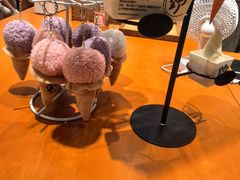 -野人先生现做冰淇淋(北京环宇荟店)