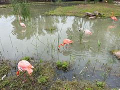 -上方山森林动物世界