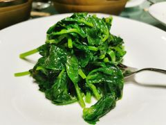 五粮液炒高山豆苗-太湖饭店·寄畅轩中餐厅