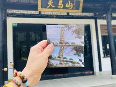 -上海佘山国家森林公园天马山园