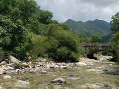 -秦岭风景区