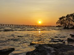 -宝安西湾红树林湿地公园