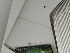 -Free Sky 云际观光层