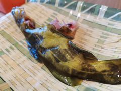 -铭记蛙小仙·活蛙畅享(CBD万达广场店)