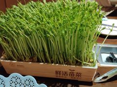 -捞神煲汤火锅(湖滨商业街店)