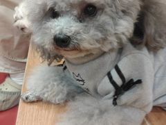 -和它·交个朋友·狗咖猫咖(爱琴海店)