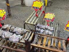-蚝专家(北滘店)