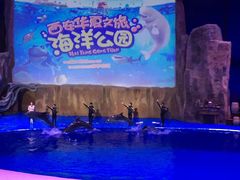 -华夏文旅海洋公园