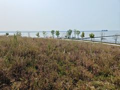 -尚贤河湿地