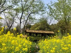 -圩墩遗址公园