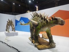 -国家自然博物馆