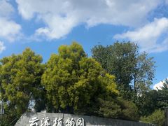 -云溪植物园