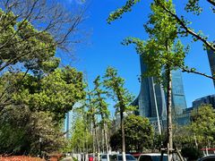 -天鹅湖体育公园