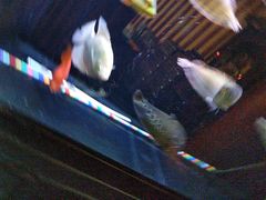 -长赢养生(平度店)