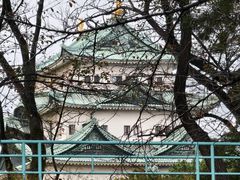 -名古屋城