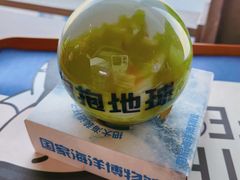 -抱抱地球咖啡馆(国家海洋博物馆店)