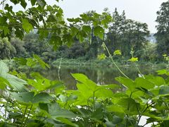 -东湖小天池真人CS彩弹野战基地