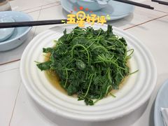 -海金滋(陕西南路店)