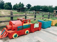 -田园东方蜜桃村的田野营地