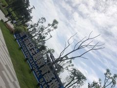 -成飞公园
