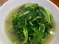 -全乐鱼馆·淳牌有机鱼直营店