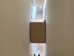 -旧金山现代艺术博物馆