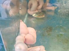 -小郭私房菜·海肠捞饭(学士街店)