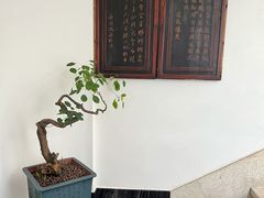 -十二厨·土菜雅院