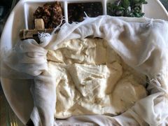 -大鹅岛绿色生态美食园