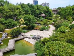 -上海吴淞炮台湾国家湿地公园