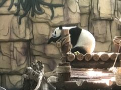 -泉州海丝野生动物世界