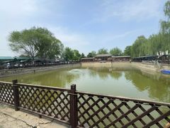 -尚庄度假村·庭台树下·户外烧烤·团建CS·轰趴营地(上庄水库店)