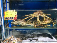 -蚝专家(北滘店)