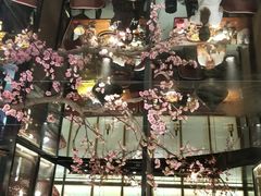 -老板恋上鱼(高新万达店)