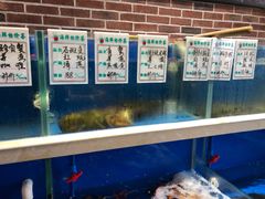 水产区-姜君·千岛湖鱼头馆(浦东大道店)