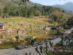 -广州市石门国家森林公园